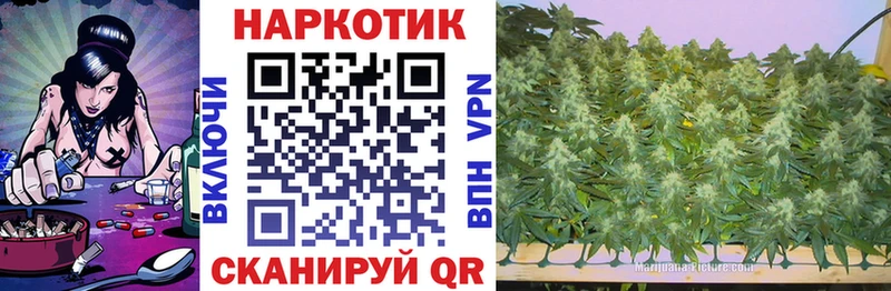 Псилоцибиновые грибы Лесосибирск