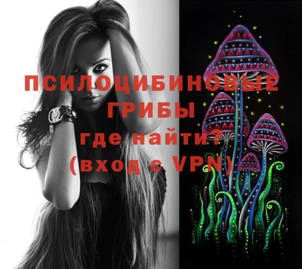 спиды Надым