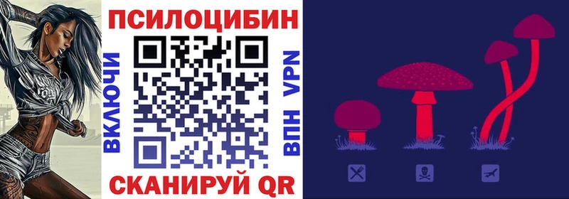 Купить где  Лесосибирск  Псилоцибиновые грибы Cubensis 